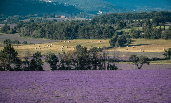 Plateau de Sault @ Verneuil