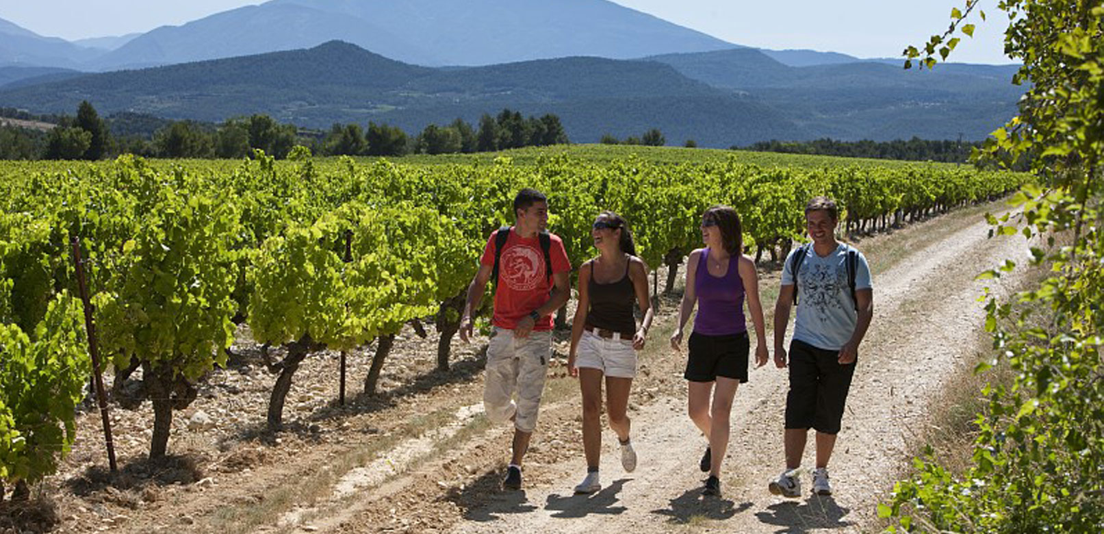Hiking throught the vineyards © Grilhe