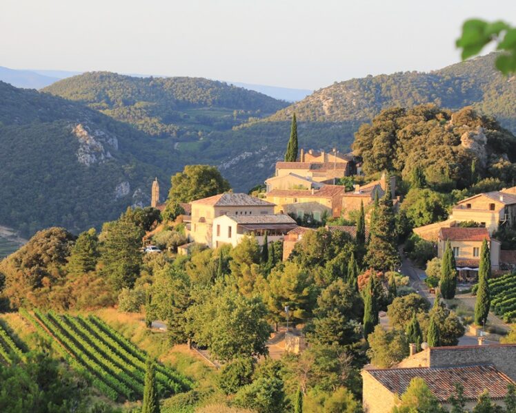 Wine tourism at the Ferme St Martin